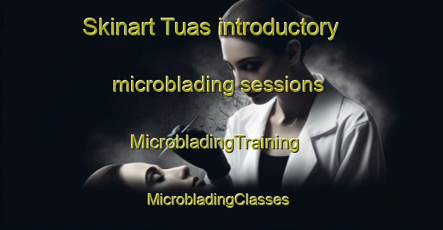 Skinart Tuas introductory microblading sessions | MicrobladingTraining | MicrobladingClasses | SkinartTraining-Singapore
