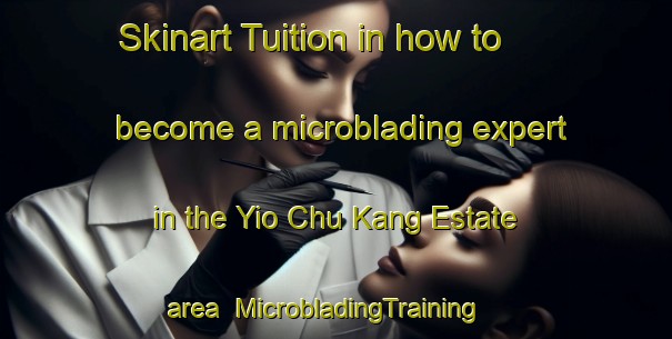 Skinart Tuition in how to become a microblading expert in the Yio Chu Kang Estate area | MicrobladingTraining | MicrobladingClasses | SkinartTraining-Singapore