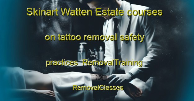 Skinart Watten Estate courses on tattoo removal safety practices | RemovalTraining | RemovalClasses | SkinartTraining-Singapore
