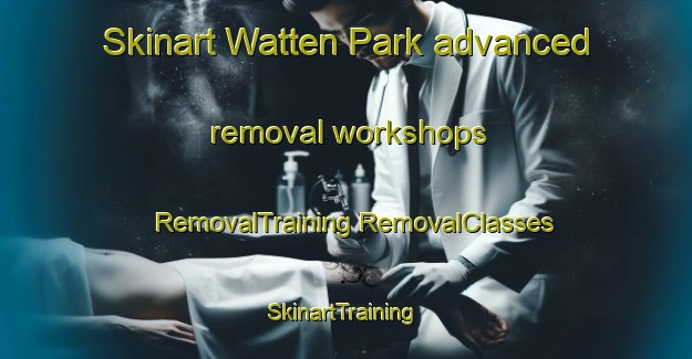 Skinart Watten Park advanced removal workshops | #RemovalTraining #RemovalClasses #SkinartTraining-Singapore