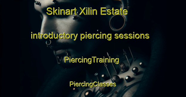 Skinart Xilin Estate introductory piercing sessions | #PiercingTraining #PiercingClasses #SkinartTraining-Singapore