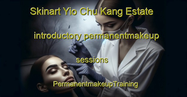 Skinart Yio Chu Kang Estate introductory permanentmakeup sessions | PermanentmakeupTraining | PermanentmakeupClasses | SkinartTraining-Singapore