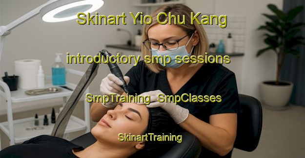 Skinart Yio Chu Kang introductory smp sessions | SmpTraining | SmpClasses | SkinartTraining-Singapore